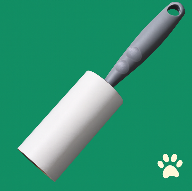 Brosse anti poil