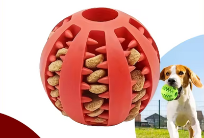 Balle à croquettes