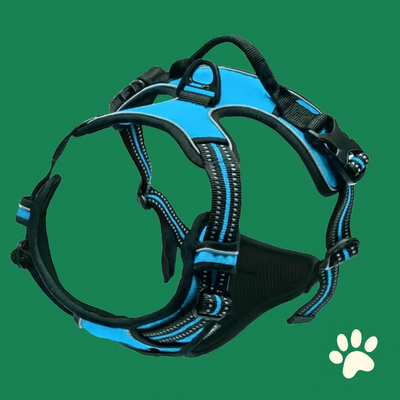 Harnais pour chien