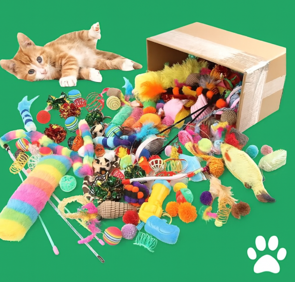 Pack mixte de jouets pour chat